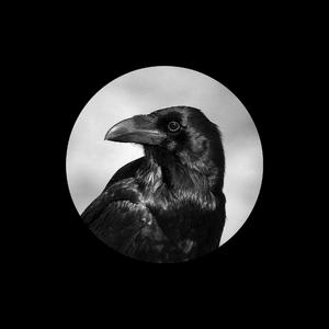 亲近素股挑战不小心
