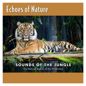 亲近素股挑战不小心
